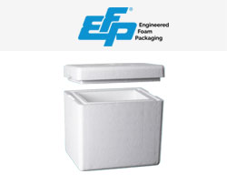 Manufacturing Efp